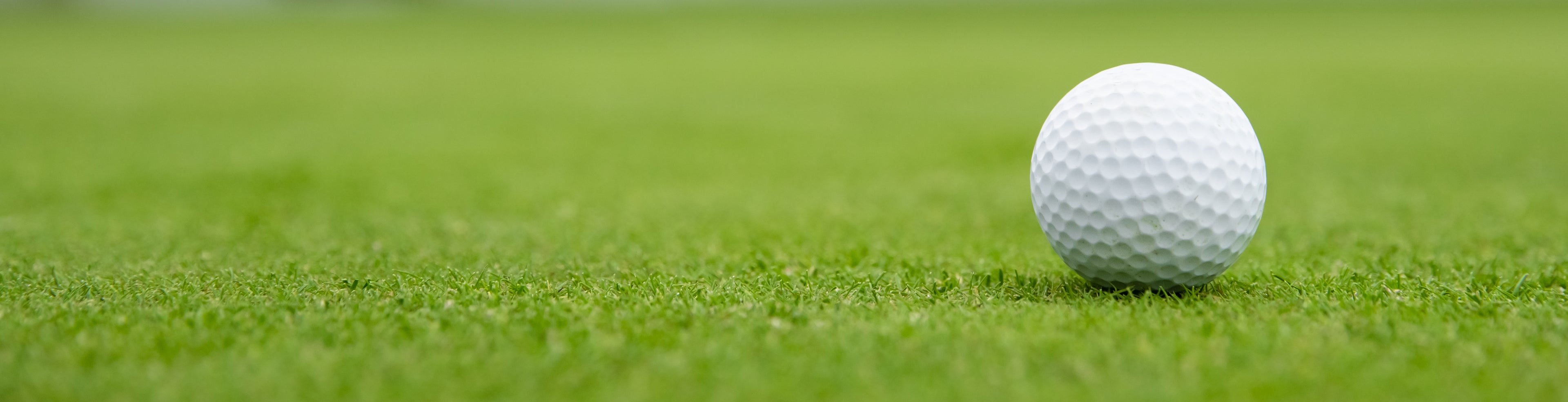 Golf Ball On Green