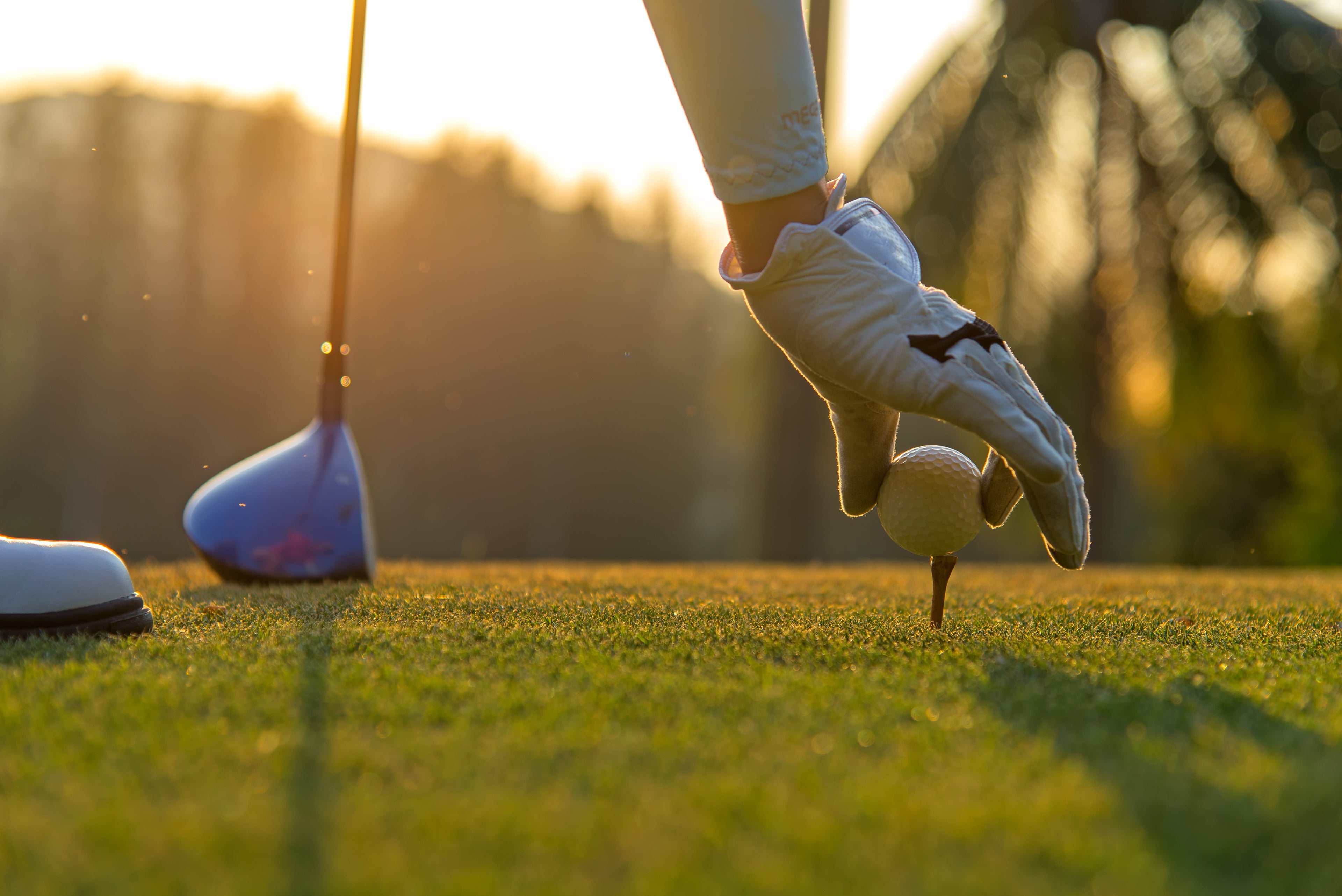 Golfer Placing Golf Ball On Tee